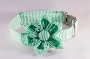 Preppy Green Seersucker Girl Dog Bow Tie Collar